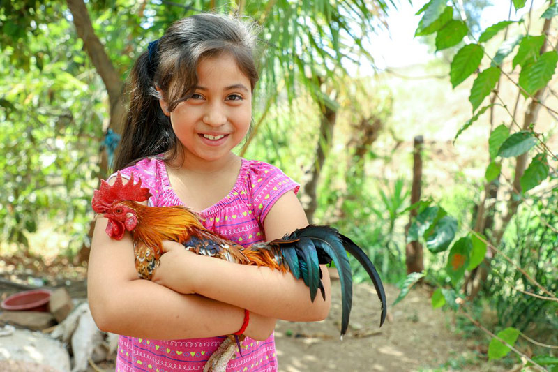 A girl holds a rooster