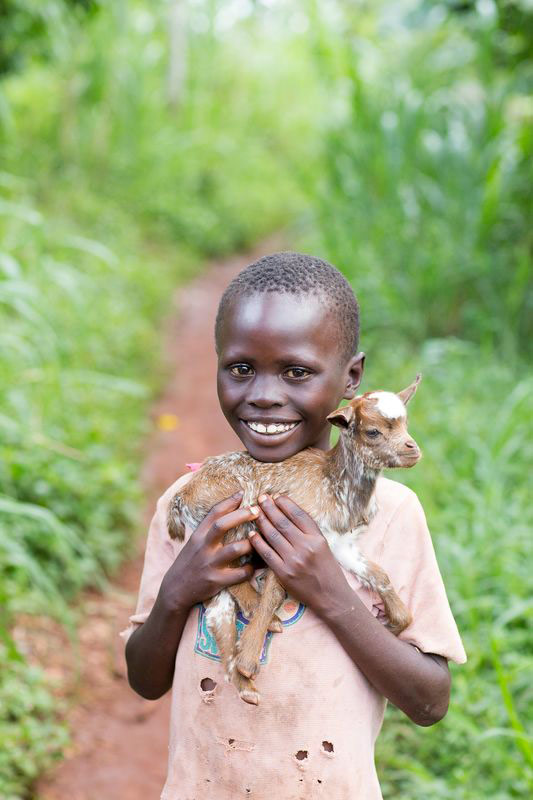A boy smiles and holds a small goat on his shoulders