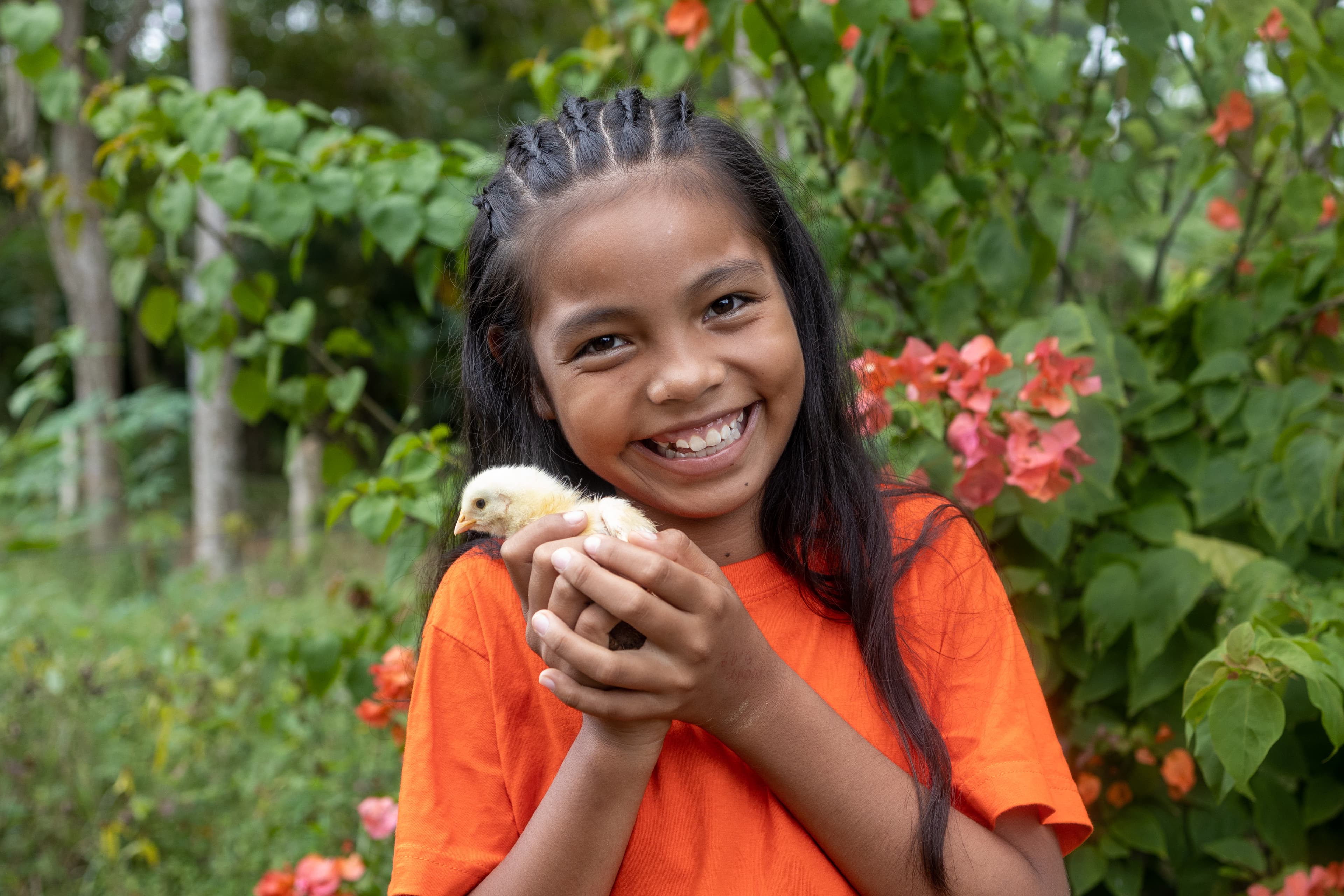 A girl wearing an orange shirt smiles and holds one of the chicks she and her family raise to sell.