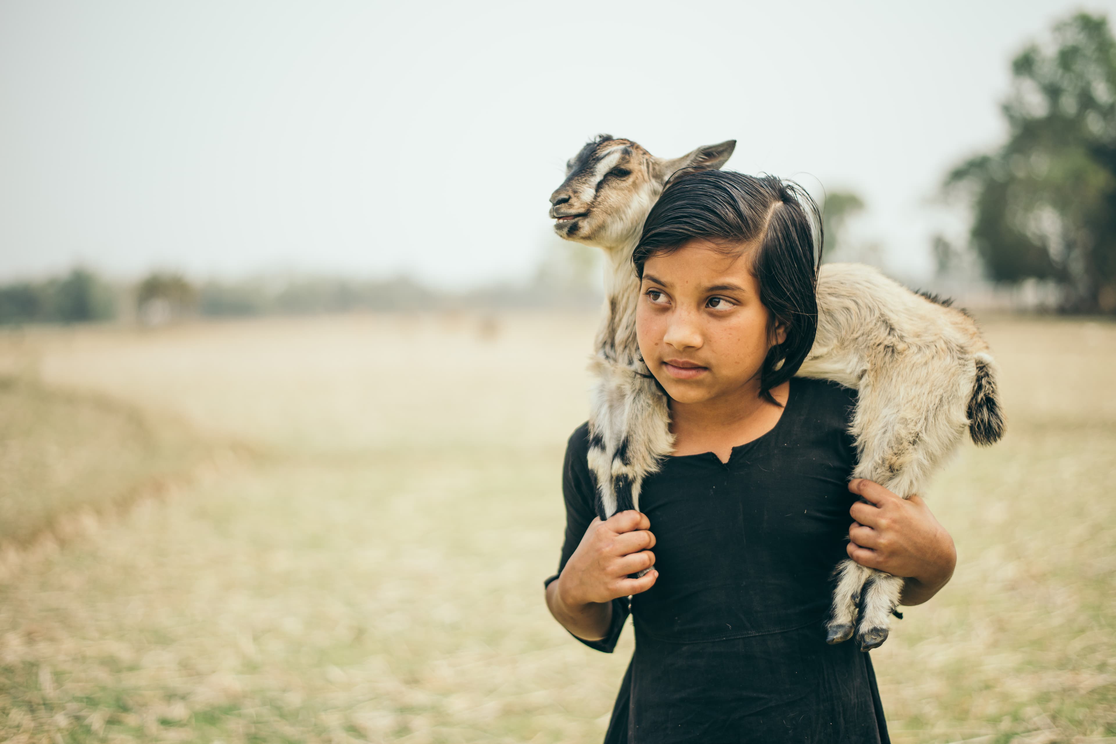 Young girl holds a baby goat on her shoulders.